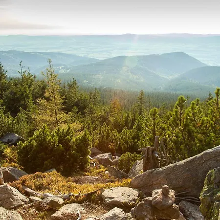 Czarna Gora 322 דירה שייננה