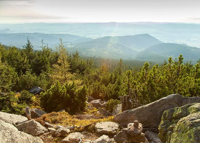 Czarna Gora 322 아파트 시에나